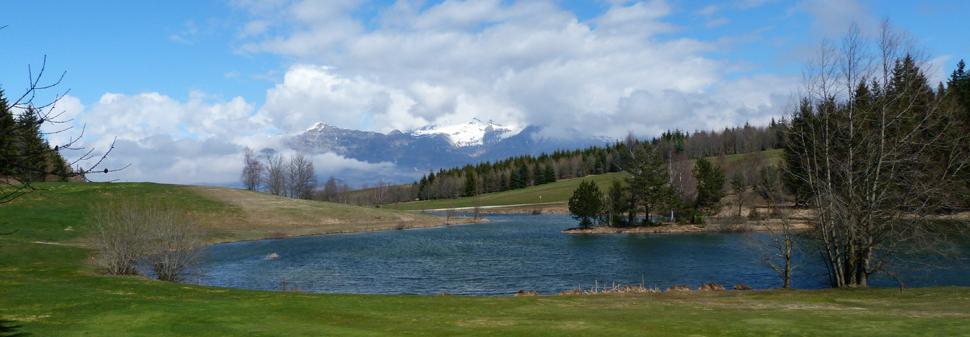 COMIT&Eacute; CENTRAL D'ENTREPRISE LEROY SOMER