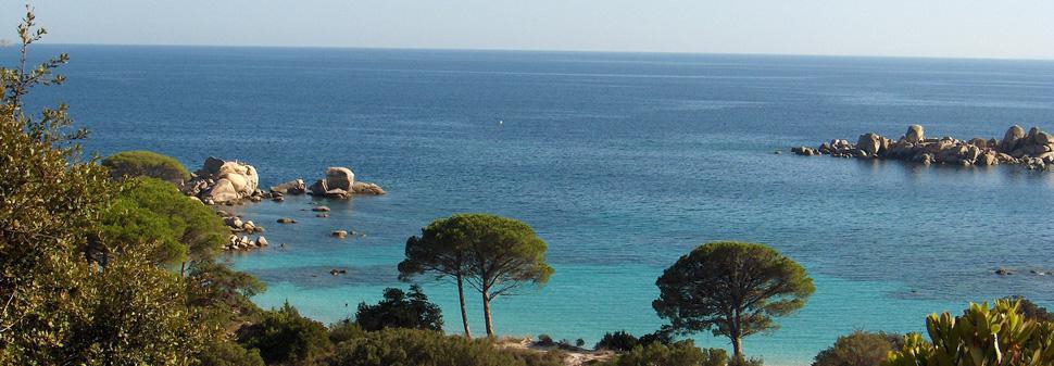 COMIT&Eacute; CENTRAL D'ENTREPRISE LEROY SOMER